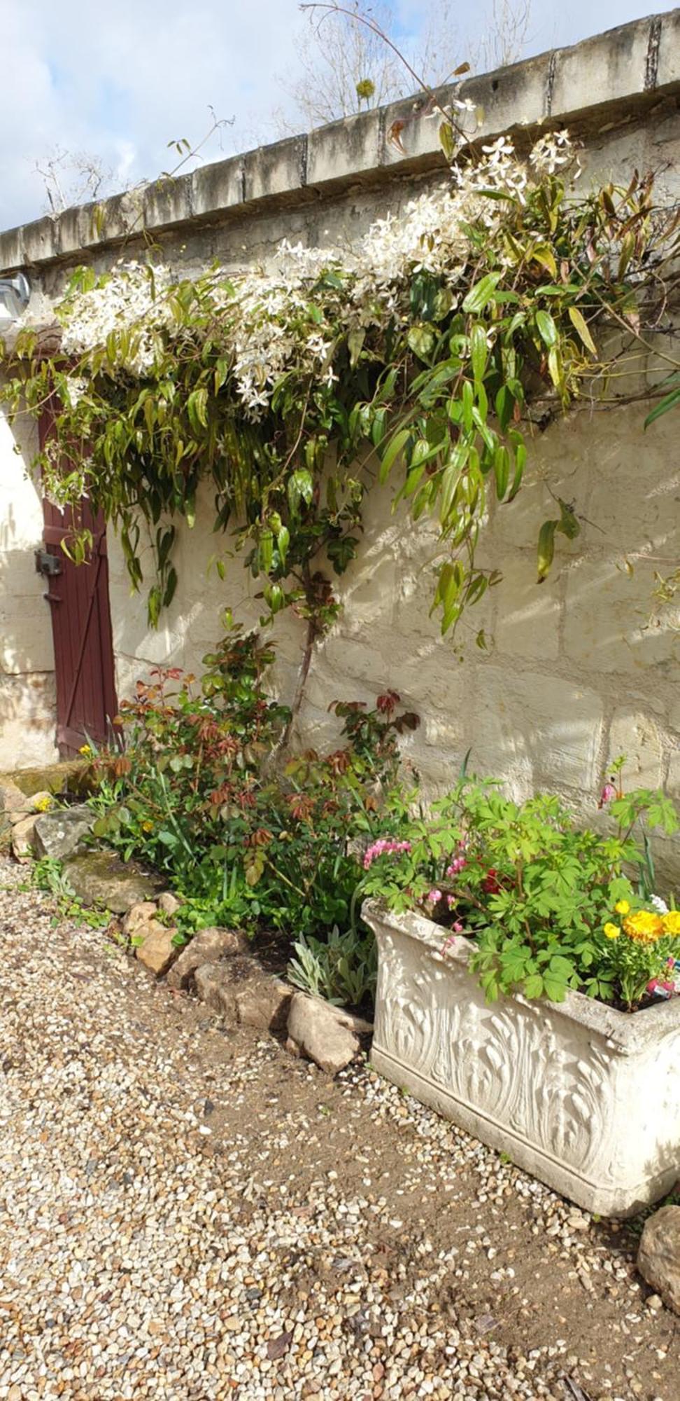 Le Petit Hureau Saumur Exterior foto